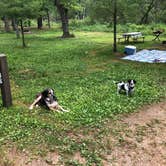 Review photo of Adeline Jay-Geo Karis Illinois Beach State Park by Jack D., June 11, 2021