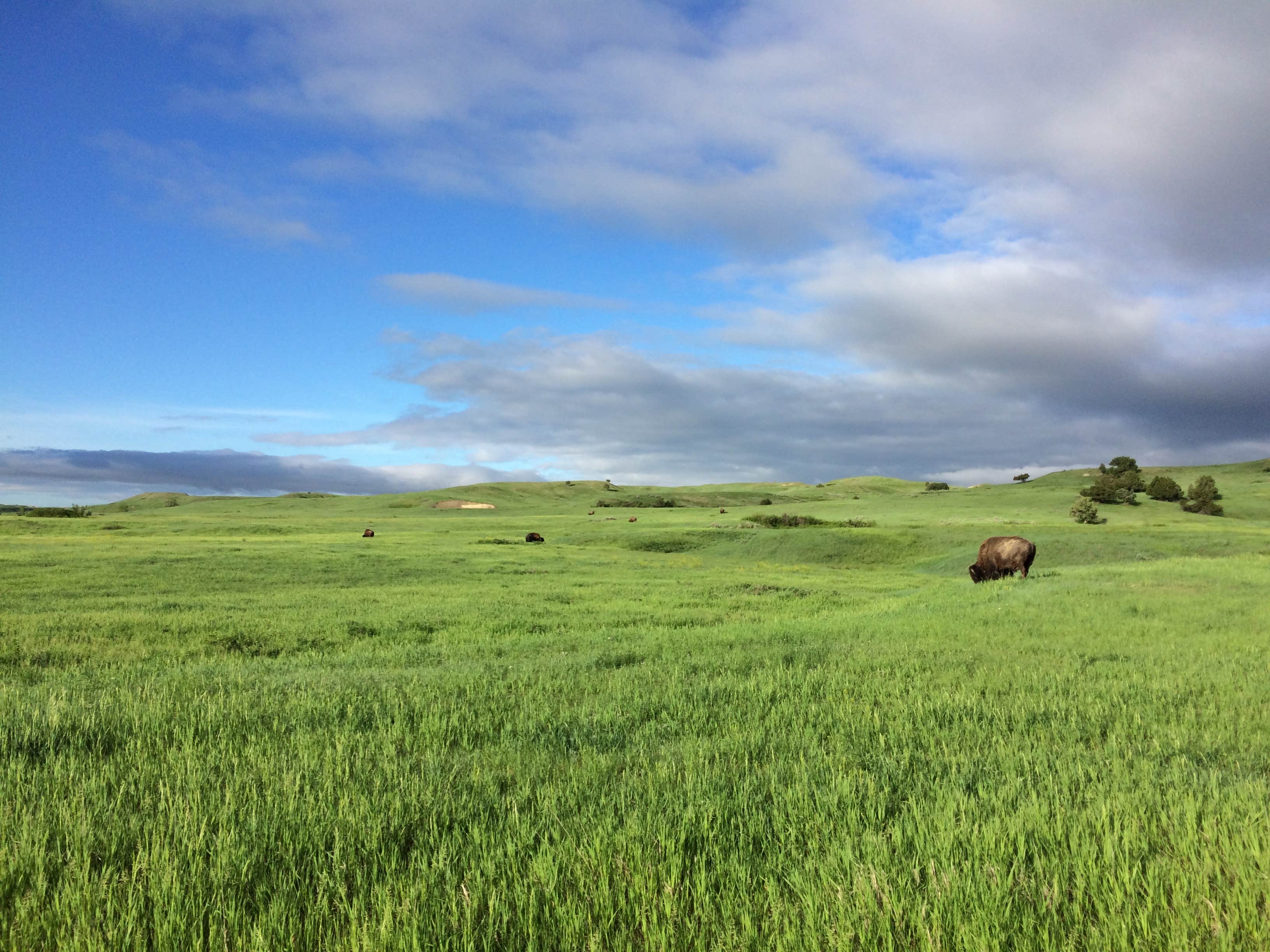 Camper submitted image from Sage Creek Campground - 2