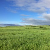 Review photo of Sage Creek Campground by Laura C., June 8, 2018