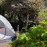 Review photo of Kalaloch Campground - group — Olympic National Park by Katie L., June 11, 2021