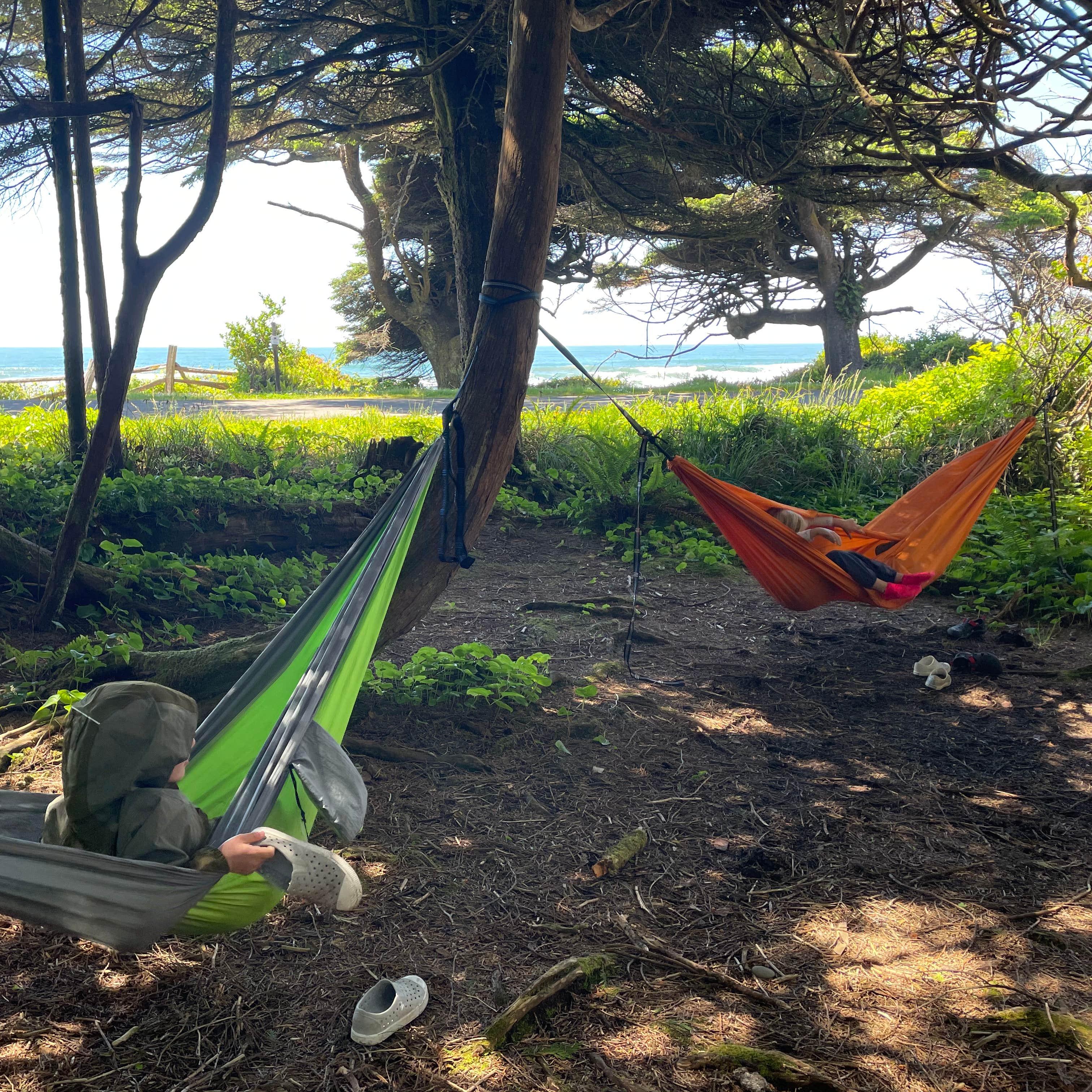Kalaloch Campground - group — Olympic National Park