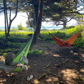 Review photo of Kalaloch Campground - group — Olympic National Park by Katie L., June 11, 2021