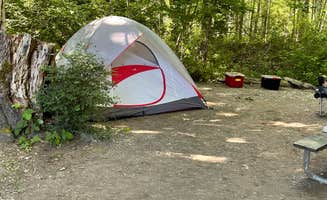 Katie L.'s photo at Dosewallips State Park Campground near Bainbridge Island, WA