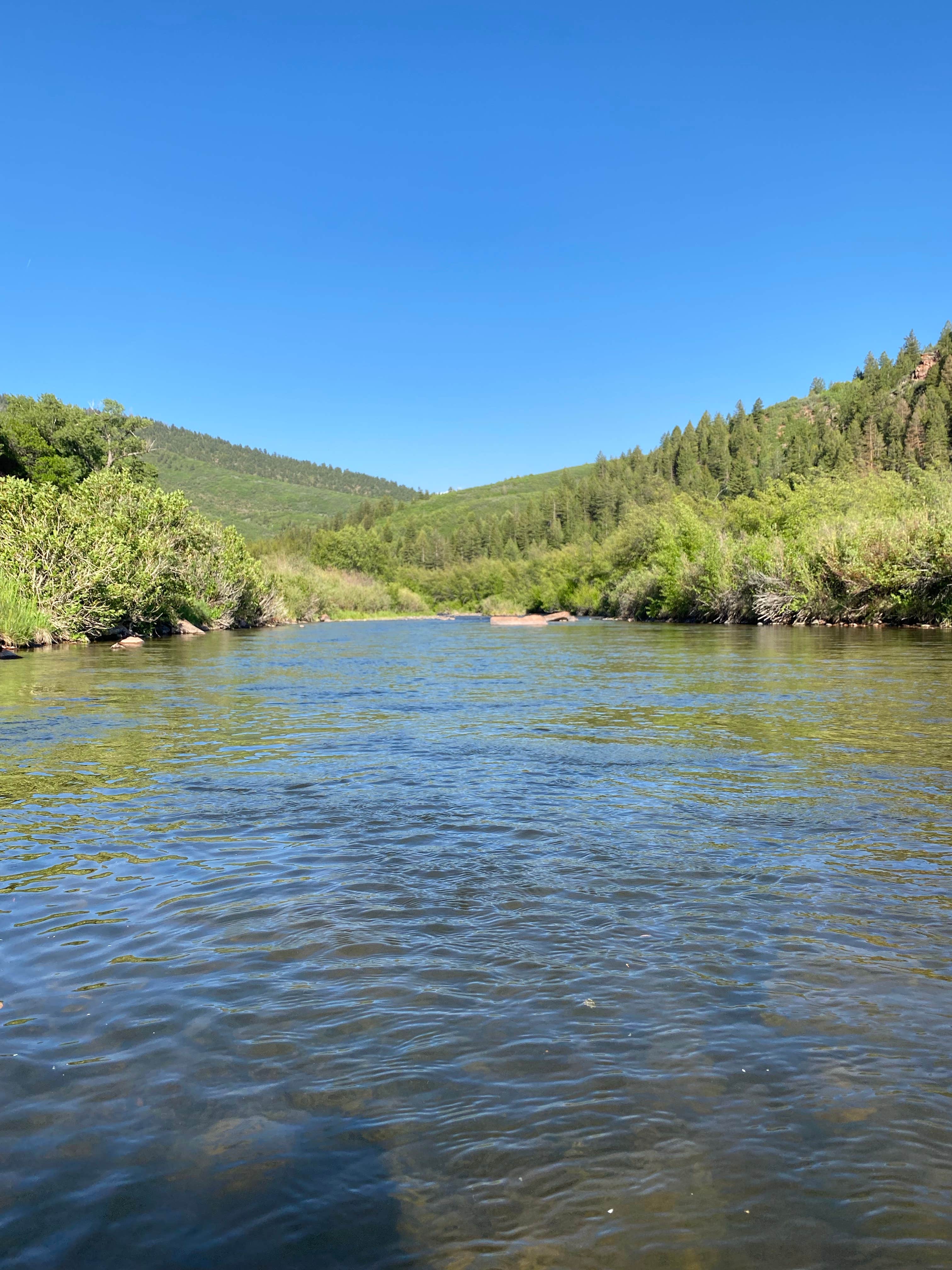 Camper submitted image from Little Mattie Campground — White River National Forest - 3