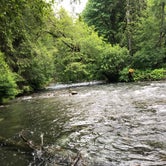 Review photo of Lyre River Campground by Chris , June 11, 2021