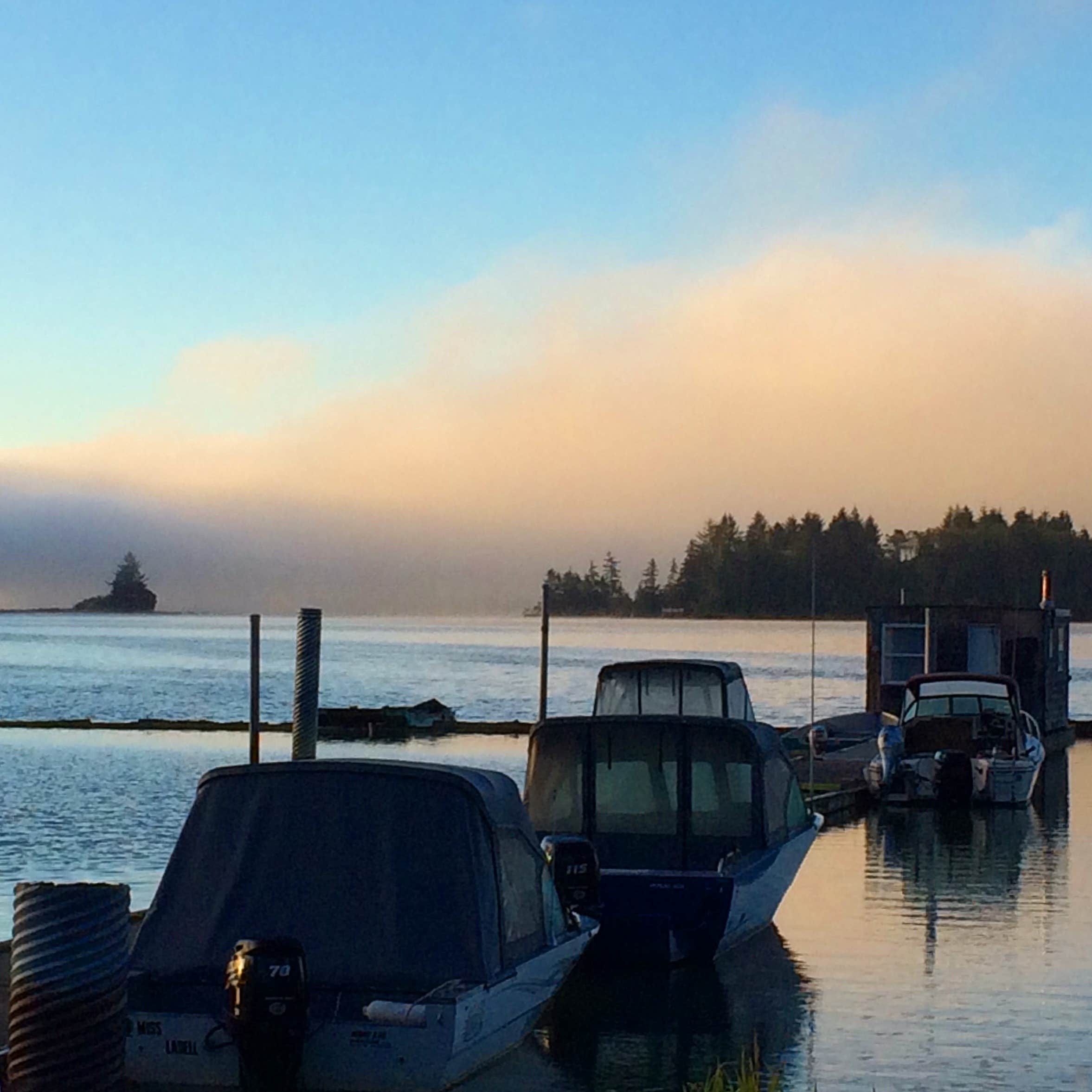 Camper submitted image from Darlings Marina & RV Resort - 2