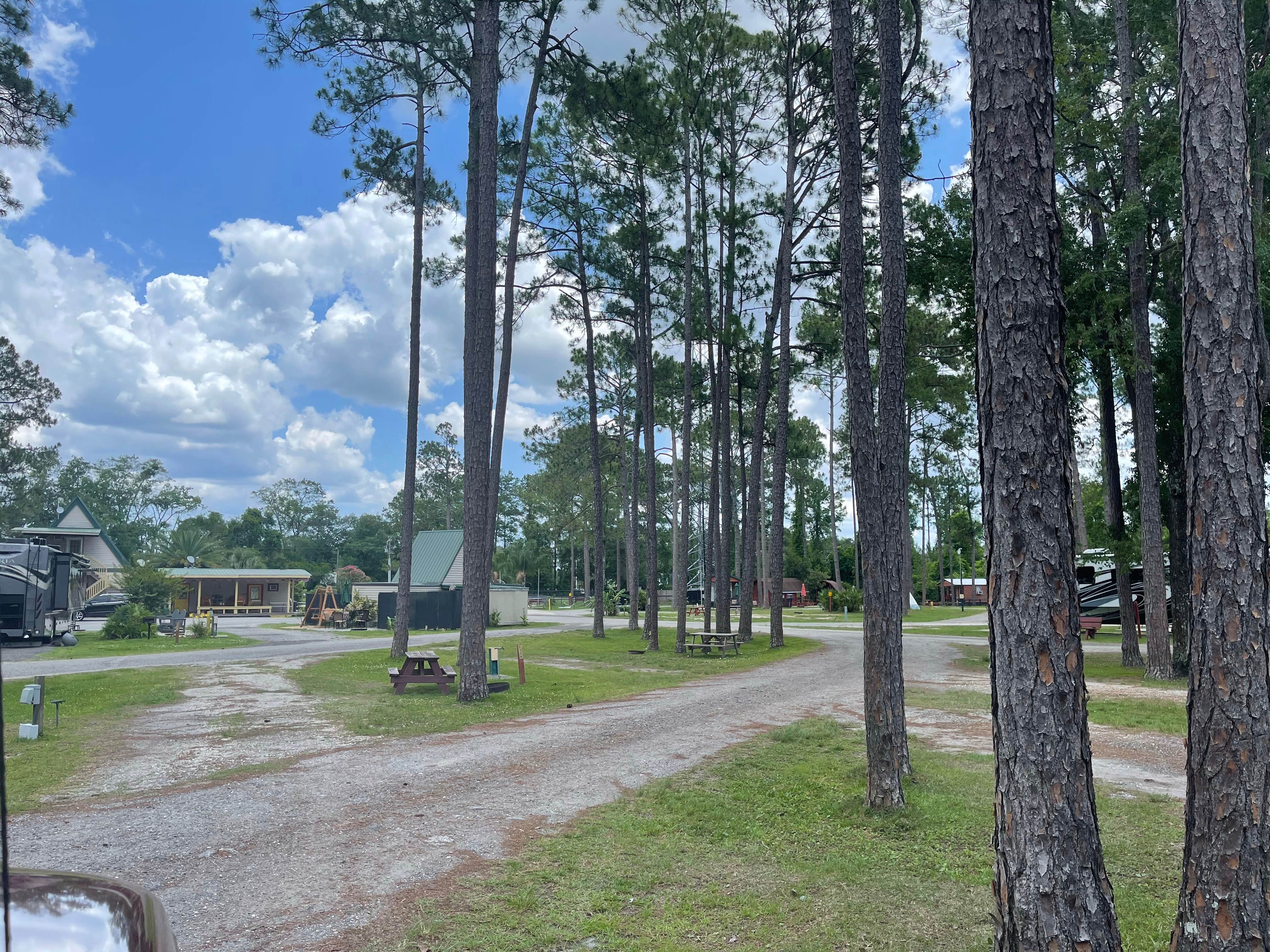 Camper submitted image from Jacksonville North-St. Marys KOA - 4