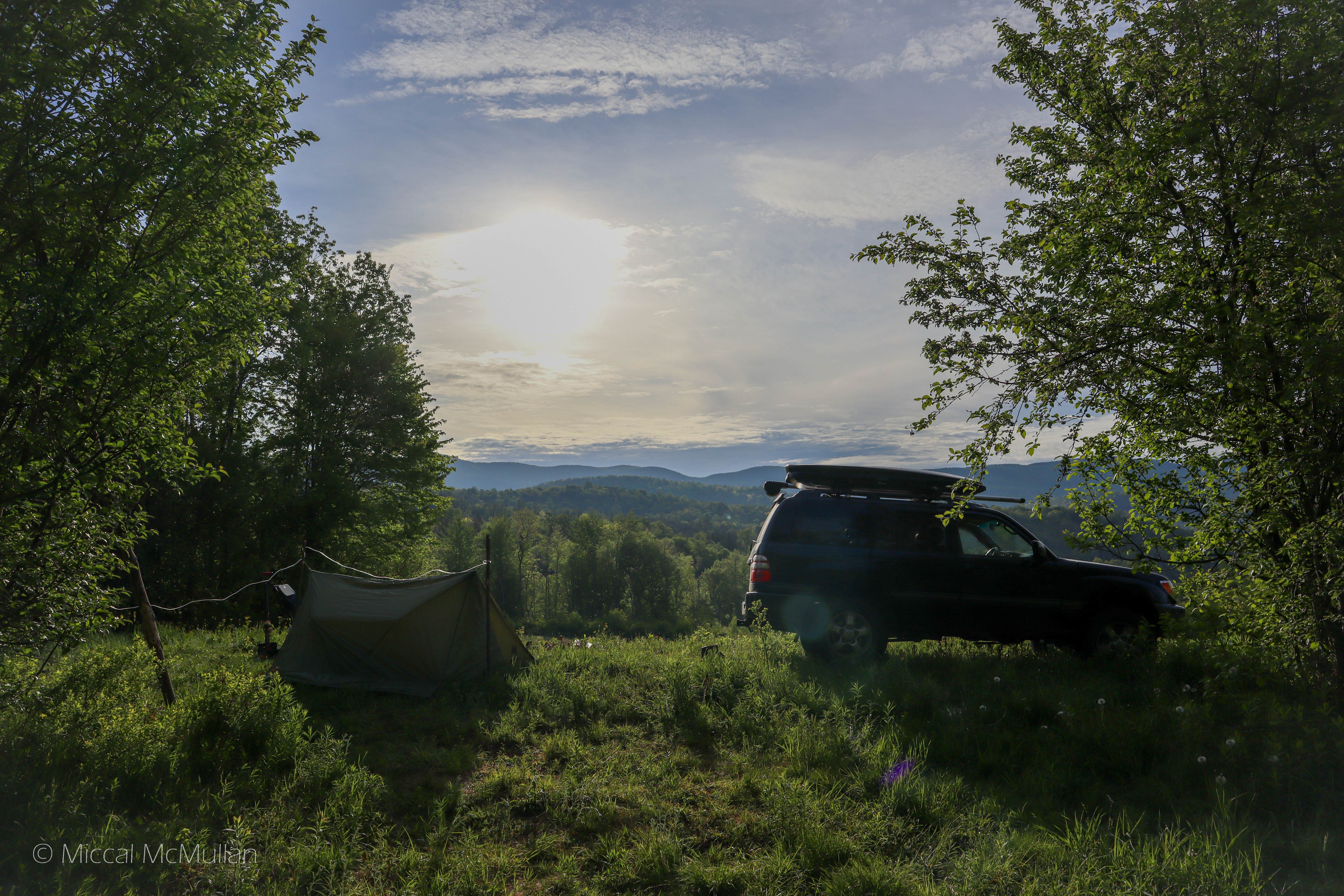 Camper submitted image from Green Mountain National Forest FR207 - 3