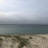 Review photo of Marthas Vineyard Family Campground by Zack , June 11, 2021