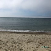 Review photo of Marthas Vineyard Family Campground by Zack , June 11, 2021