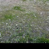 Review photo of Shadow Mountain Dispersed Camping by Mack T., June 7, 2021