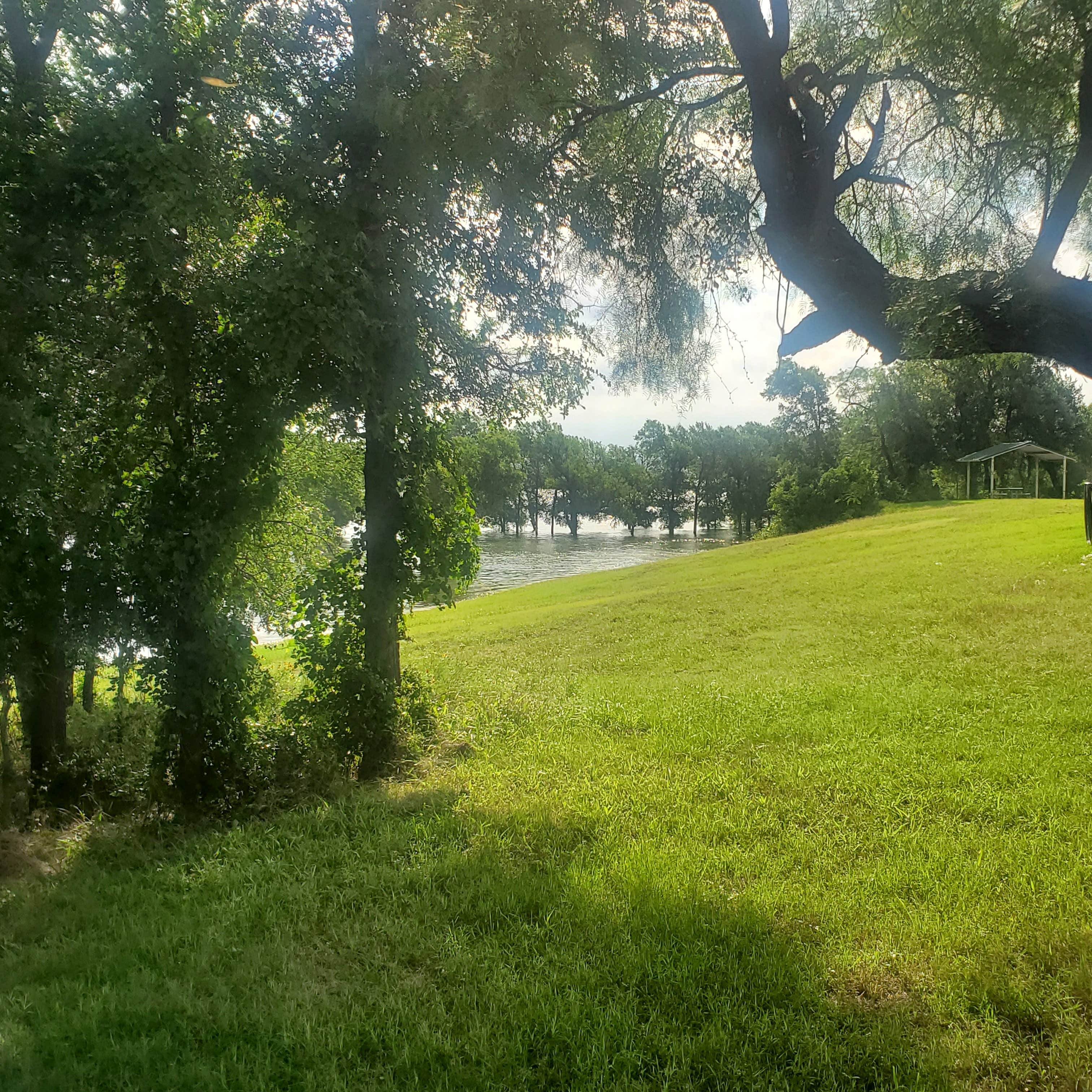 Camper-submitted photo at Speegleville Park near Waco, TX