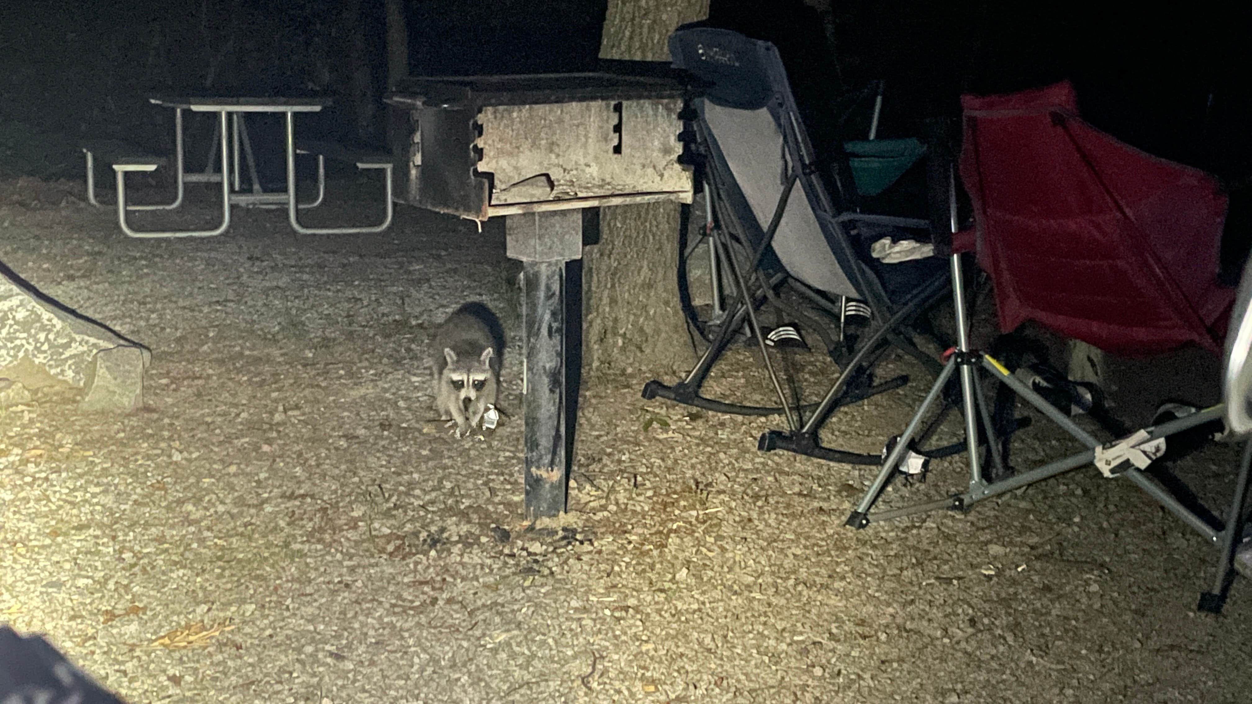 Sonyia W.'s photo of camping with pets at Pohick Bay Campground near Washington, DC