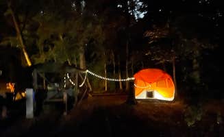 Sonyia W.'s photo at Pohick Bay Campground near Oakton, VA