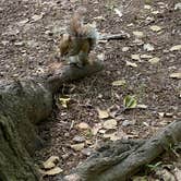 Review photo of Pohick Bay Campground by Sonyia W., June 11, 2021