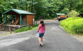 Sonyia W.'s photo of a cabin at Fancy Gap-Blue Ridge Parkway KOA near Woolwine, VA