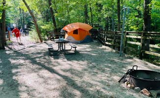 Sonyia W.'s photo at Richard B Russell State Park Campground near Abbeville, SC