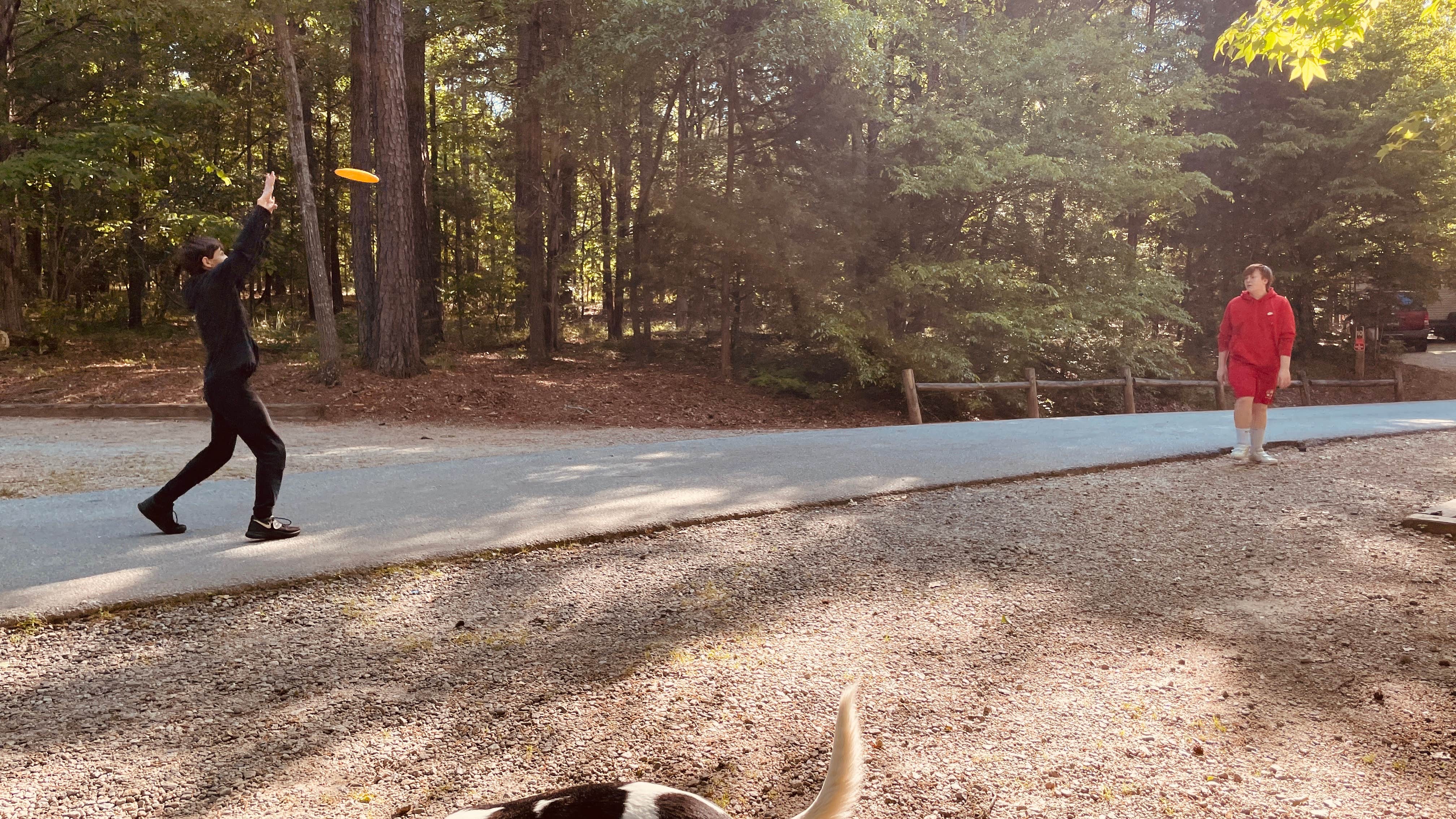 Sonyia W.'s photo of camping with pets at Richard B Russell State Park Campground near Anderson, SC