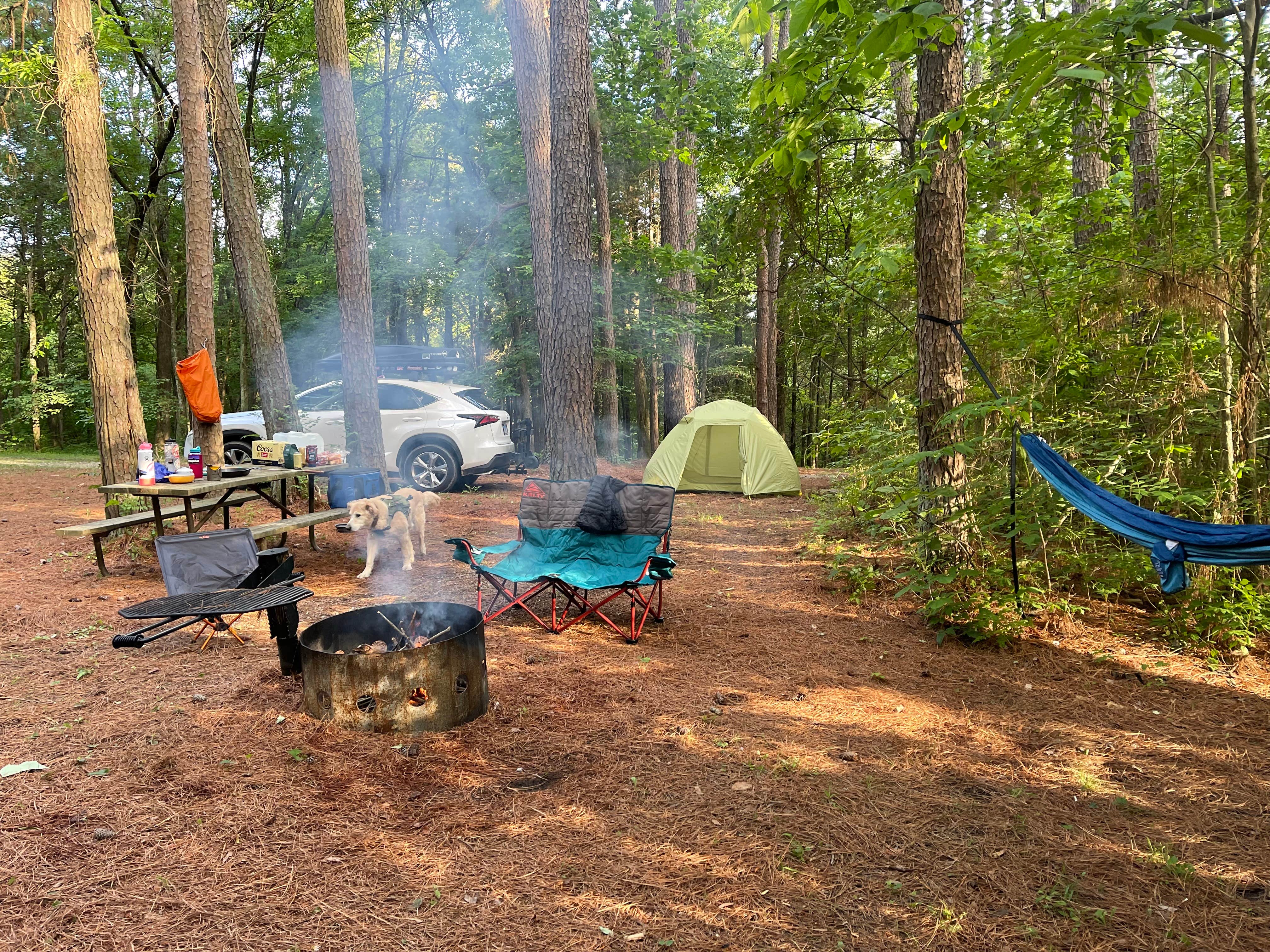 Marta S.'s photo at Dixon Springs State Park Campground in Illinois