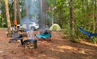 Marta S.'s photo at Dixon Springs State Park Campground in Illinois