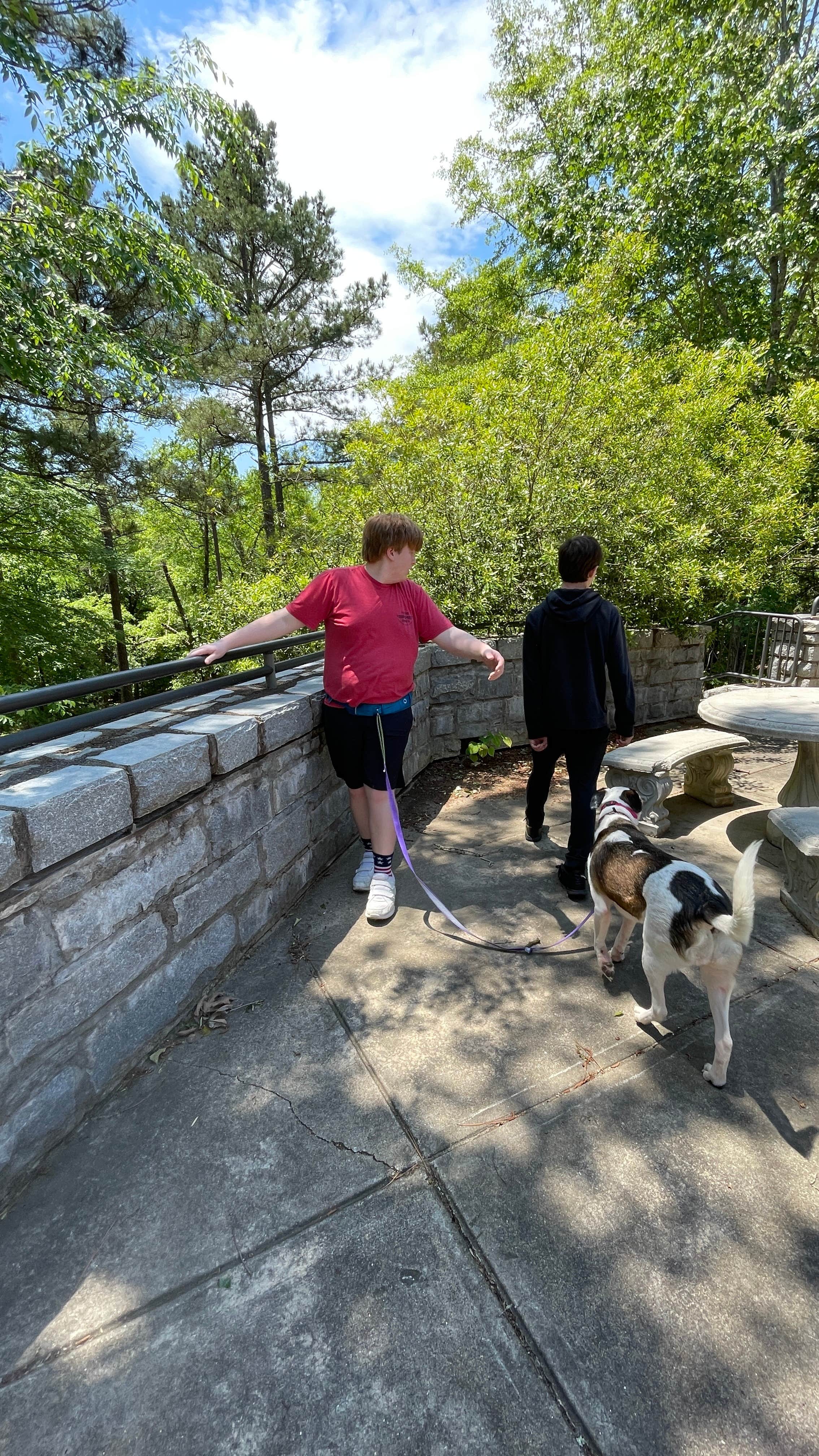 Sonyia W.'s photo of camping with pets at Richard B Russell State Park Campground near Hartwell Lake