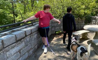Sunny W.'s photo of camping with pets at Richard B Russell State Park Campground near Hartwell, GA