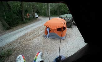 Sunny W.'s photo at Edisto Beach State Park Campground near Johns Island, SC