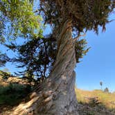 Review photo of Creek Tent Campground — Hearst San Simeon State Park by L & K S., June 11, 2021