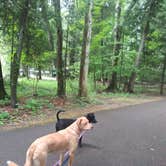 Review photo of Harrisville State Park Campground by Sasha K., June 11, 2021