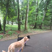 Review photo of Harrisville State Park Campground by Sasha K., June 11, 2021