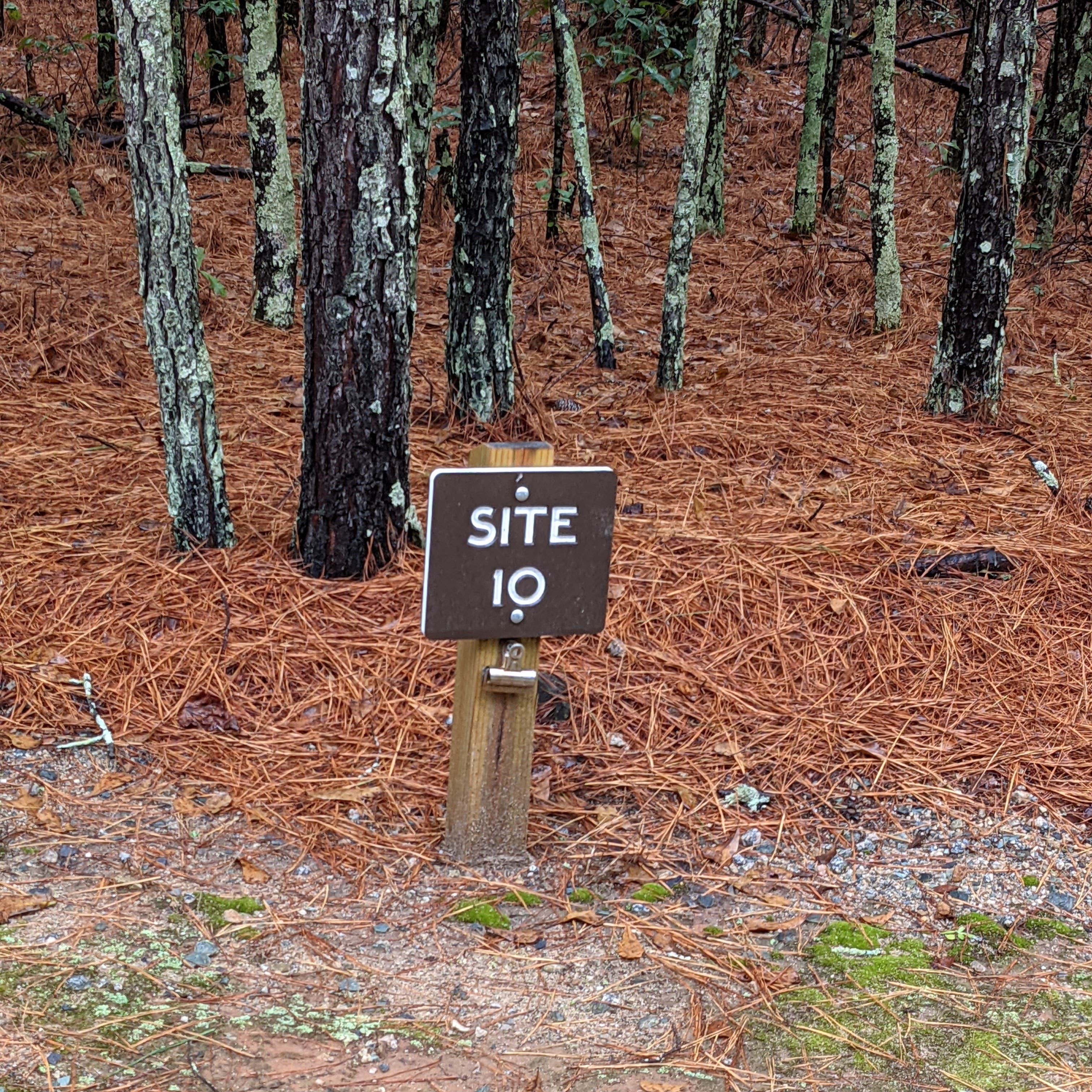 Chalk Banks — Lumber River State Park Camping | Wagram, North Carolina