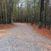 Review photo of Chalk Banks — Lumber River State Park by Tammie S., June 11, 2021