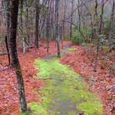 Review photo of Chalk Banks — Lumber River State Park by Tammie S., June 11, 2021