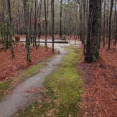 Review photo of Chalk Banks — Lumber River State Park by Tammie S., June 11, 2021