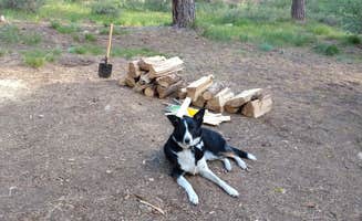 Will M.'s photo of camping with pets at Grayback Gulch Campground near Garden City, ID