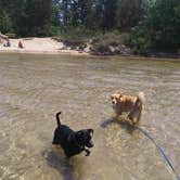 Review photo of Tawas Point State Park Campground by Sasha K., June 11, 2021