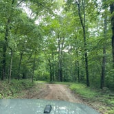 Review photo of TVA Public Land- Fork Bend  by tamara , June 11, 2021