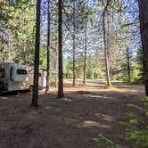 Review photo of USFS Rogue River Dispersed by Laura M., June 11, 2021