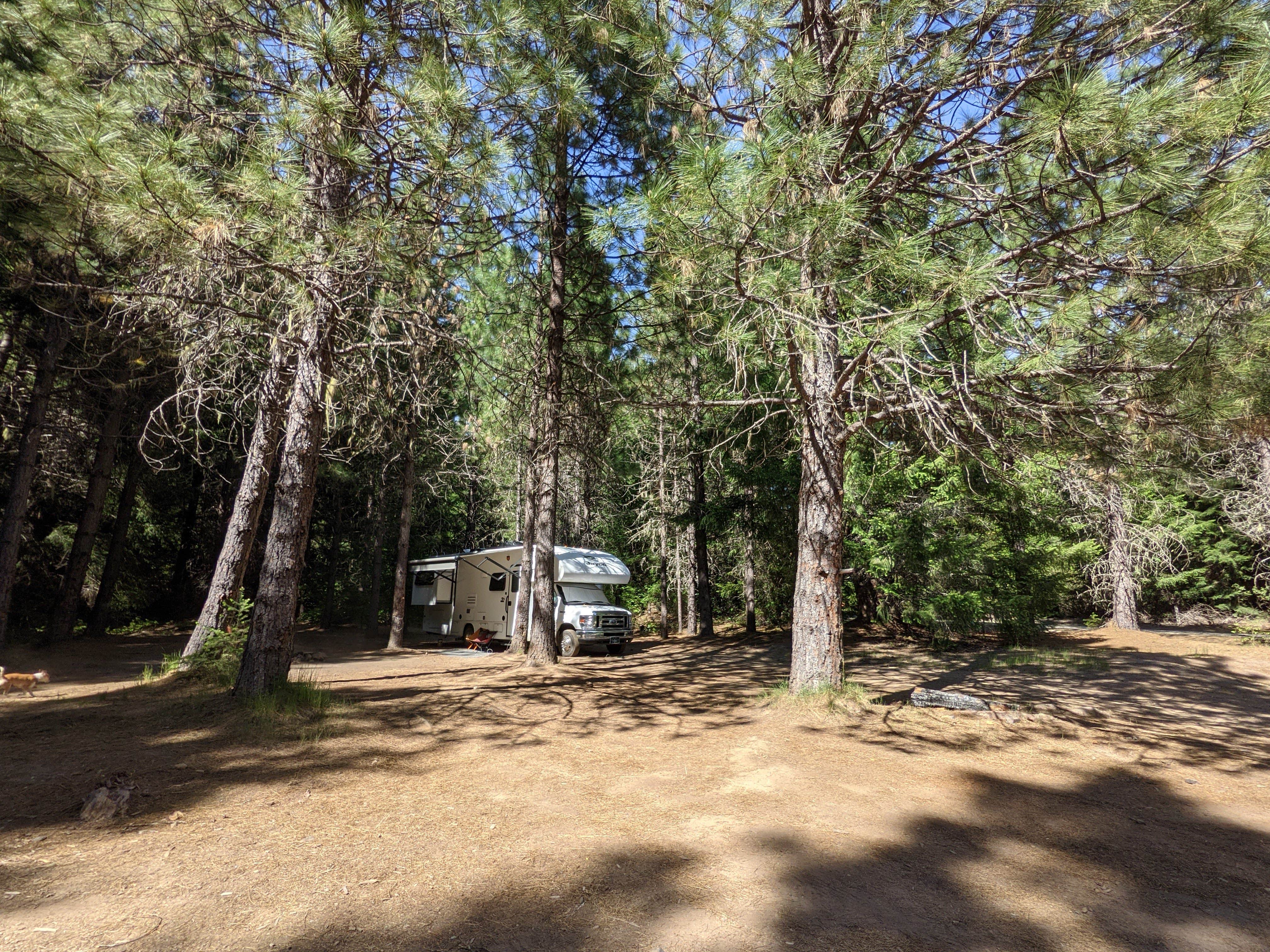 Camper-submitted photo at USFS Rogue River Dispersed near White City, OR