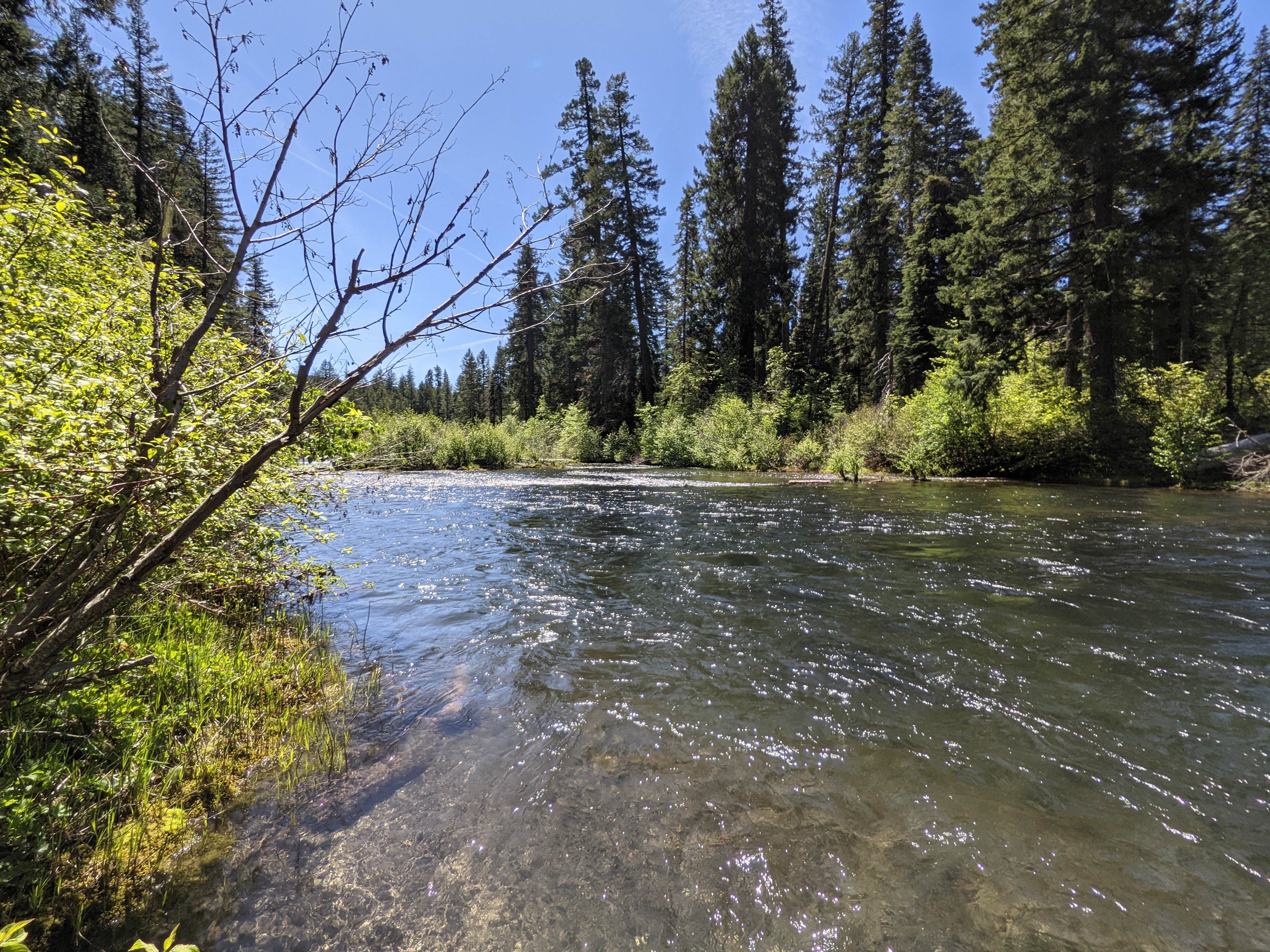 Natural Bridge Campground The Dyrt   Oregon Natural Bridge Campground 67e4dd71 7810 461b 915f Ccf06569074a 