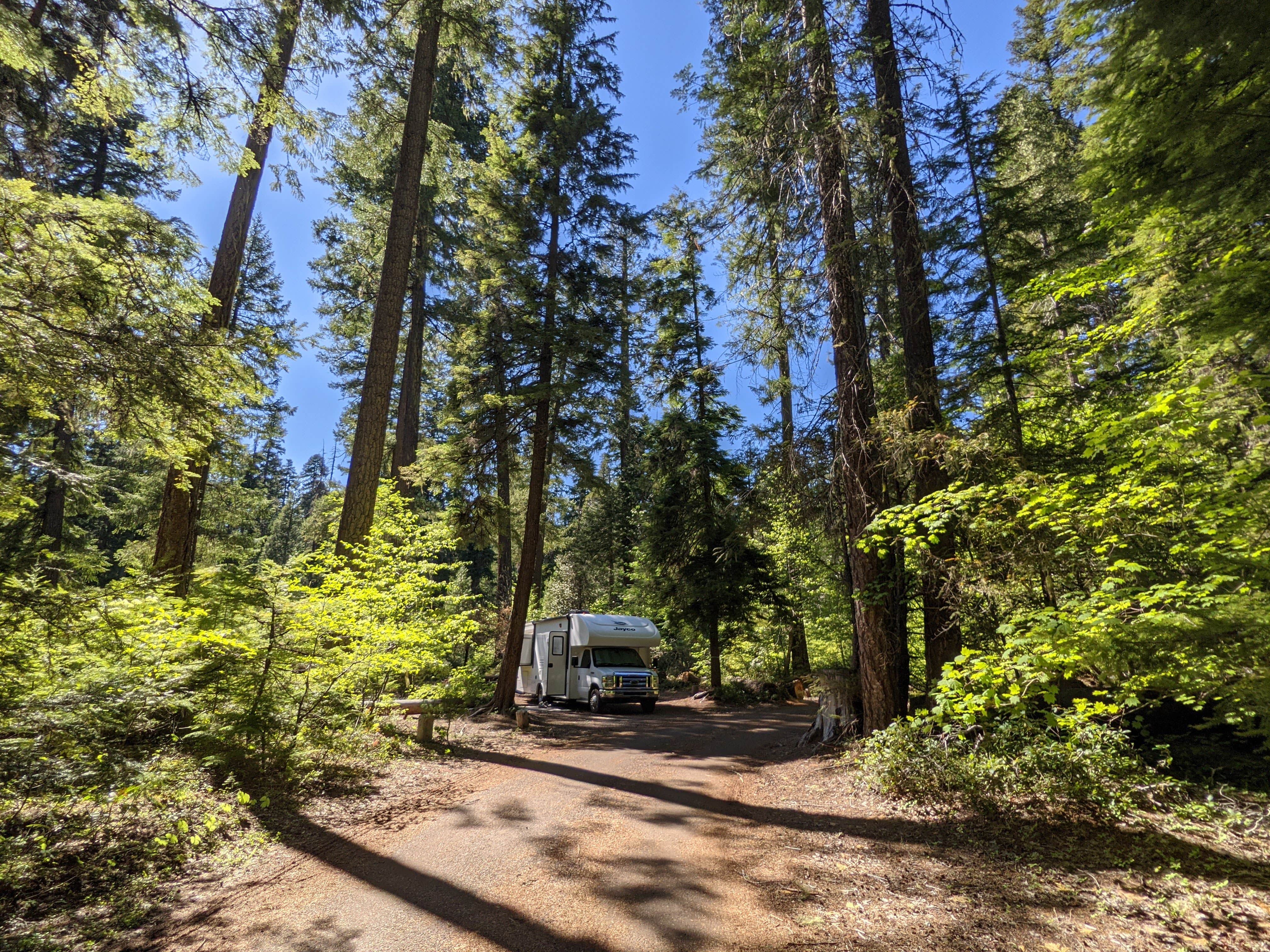 Natural Bridge Campground The Dyrt   Oregon Natural Bridge Campground 114b471c A912 413c 8fe4 E678fc2a3059 