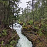 Review photo of Natural Bridge Campground by Laura M., June 11, 2021