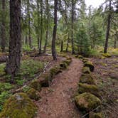 Review photo of Natural Bridge Campground by Laura M., June 11, 2021