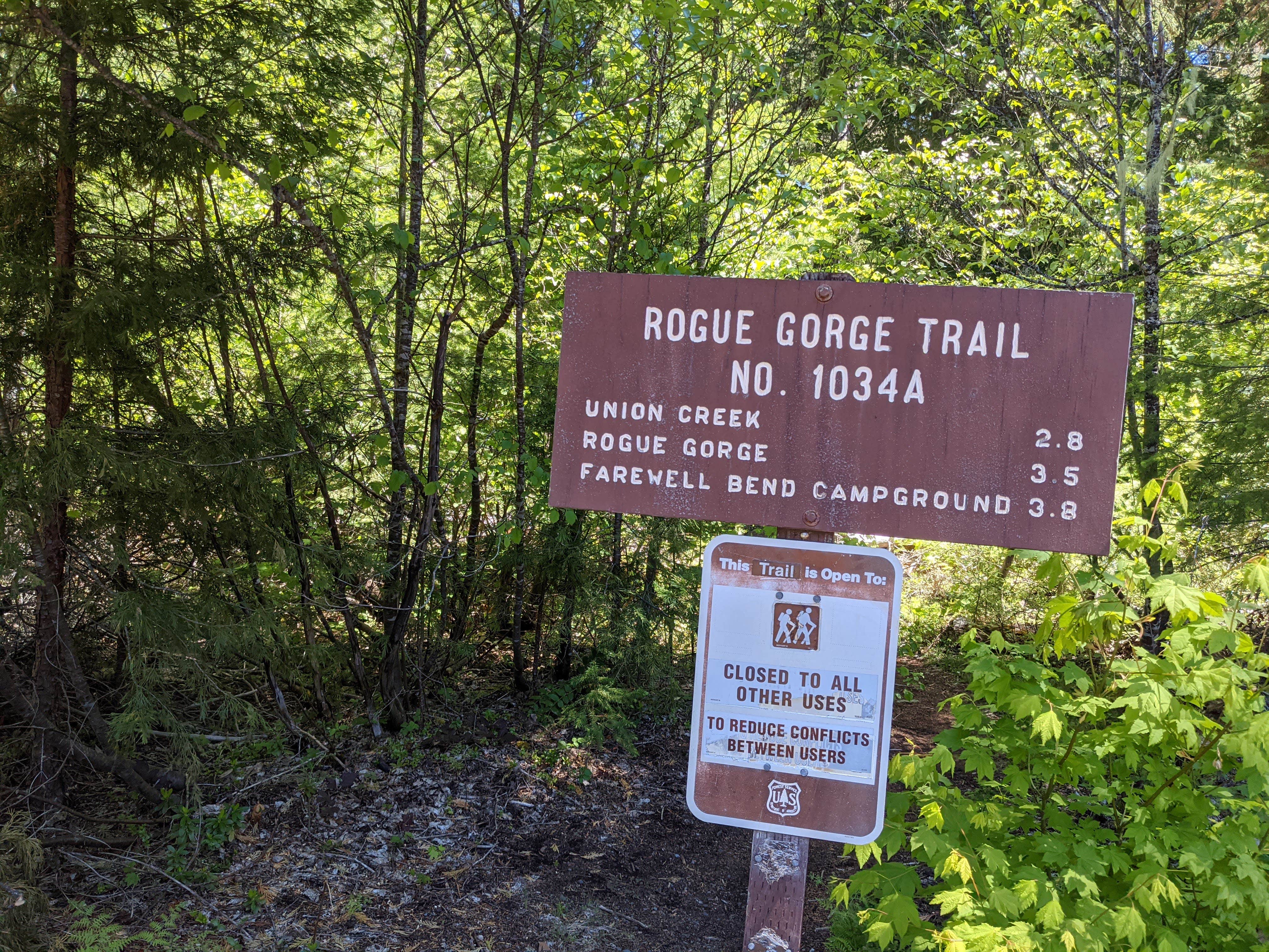 Camper submitted image from Natural Bridge Campground - 5