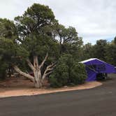 Review photo of Desert View Campground — Grand Canyon National Park by Sheila W., June 8, 2018