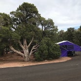 Review photo of Desert View Campground — Grand Canyon National Park by Sheila W., June 8, 2018