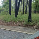 Review photo of Goose Creek State Park Campground by chelsea S., June 9, 2018