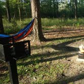 Review photo of Goose Creek State Park Campground by chelsea S., June 9, 2018