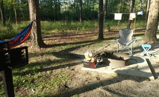 chelsea S.'s photo at Goose Creek State Park Campground near Kinston, NC