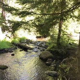 Review photo of Forest Creek by Mikayle S., June 9, 2018